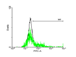 Flow Cytometry