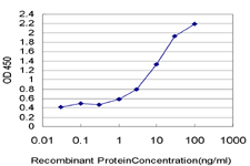 Sandwich ELISA (Recombinant protein)