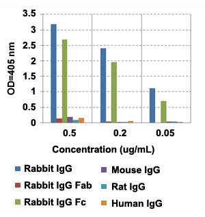 Enzyme-linked Immunoabsorbent Assay