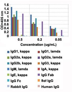 Enzyme-linked Immunoabsorbent Assay