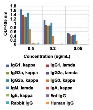 Enzyme-linked Immunoabsorbent Assay