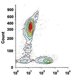 Flow Cytometry