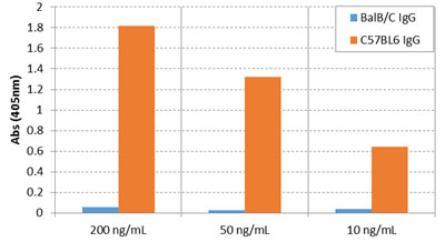 Enzyme-linked Immunoabsorbent Assay