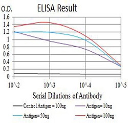 Enzyme-linked Immunoabsorbent Assay