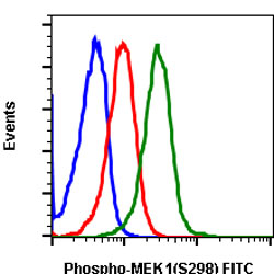 Flow Cytometry