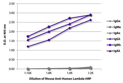 Enzyme-linked Immunoabsorbent Assay