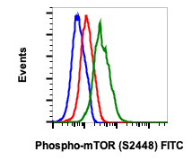 Flow Cytometry