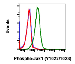 Flow Cytometry