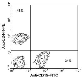 Flow Cytometry