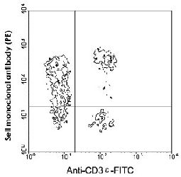 Flow Cytometry