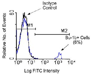 Flow Cytometry