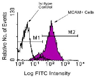 Flow Cytometry