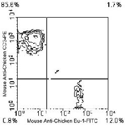 Flow Cytometry