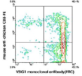 Flow Cytometry