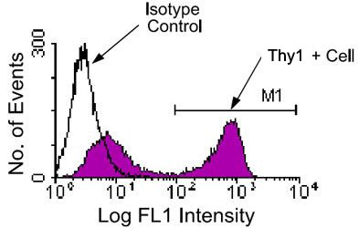 Flow Cytometry