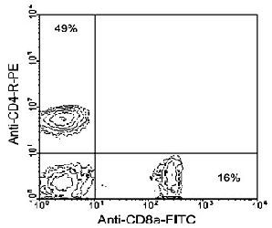 Flow Cytometry