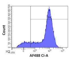 Flow Cytometry