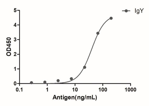 Enzyme-linked Immunoabsorbent Assay