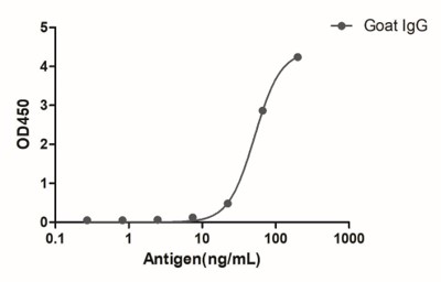 Enzyme-linked Immunoabsorbent Assay