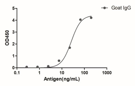 Enzyme-linked Immunoabsorbent Assay