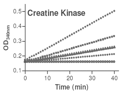 Result Data