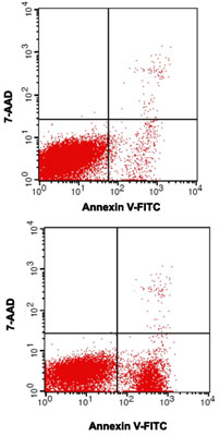 Result Data