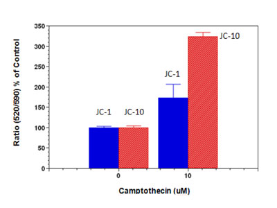 Result Data