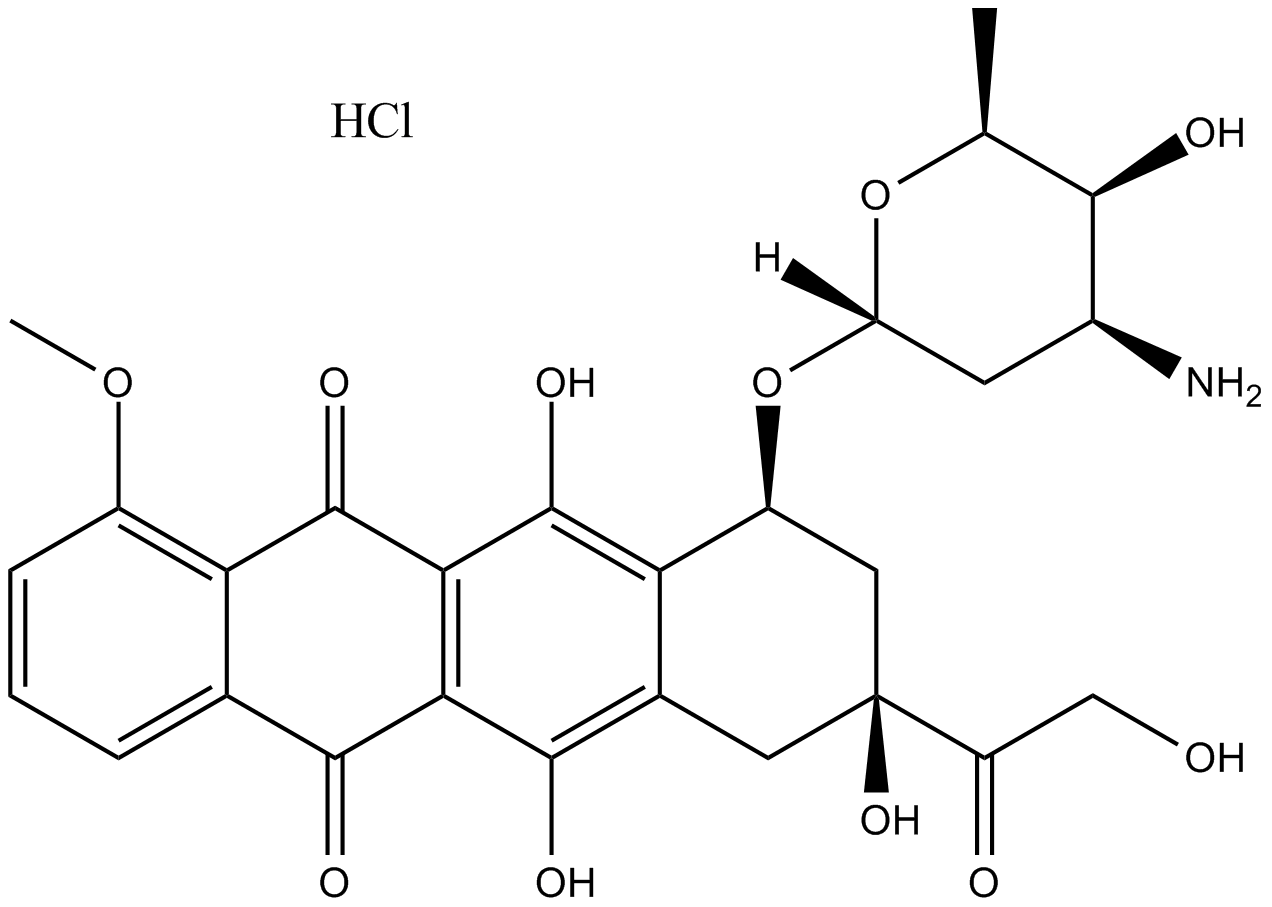 Doxorubicin (Adriamycin)