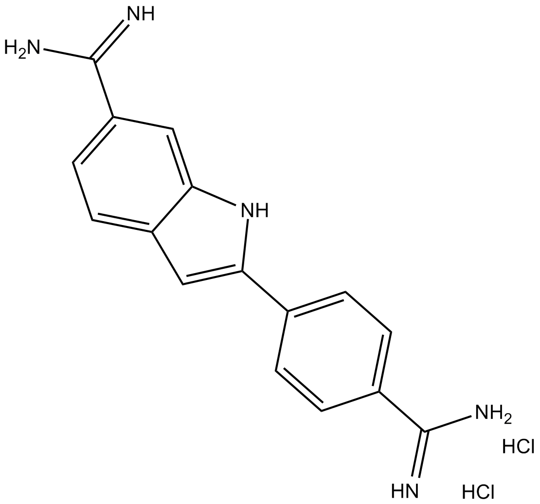 DAPI (hydrochloride)