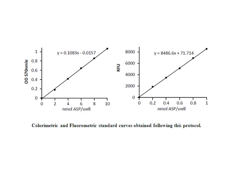 Aspartate Colorimetric/Fluorometric Assay Kit