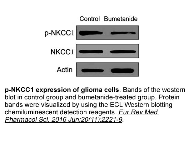 ECL Western Blotting Substrate Kit