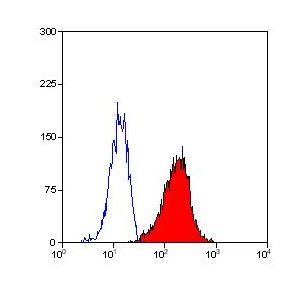 Human peripheral blood granulocytes