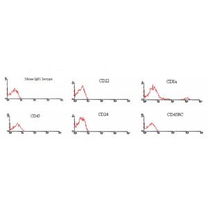 BALB/cplenocytes