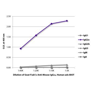 Purified mouse IgG1, IgG2a, IgG2b, IgG3, IgM, and IgA