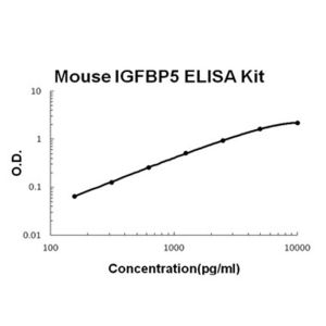 IGFBP5 ELISA