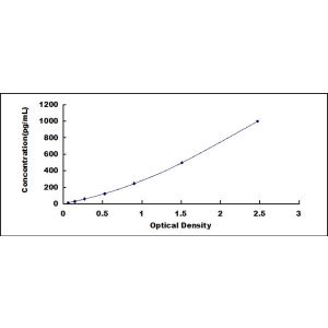 IFNB ELISA