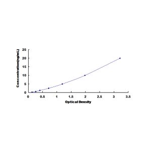 REPIN1 ELISA Standard Curve