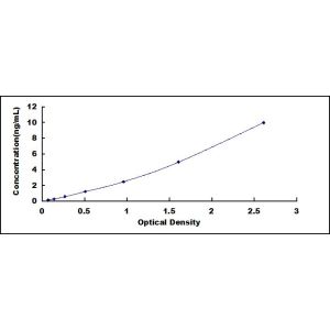 LIPE ELISA standard curve