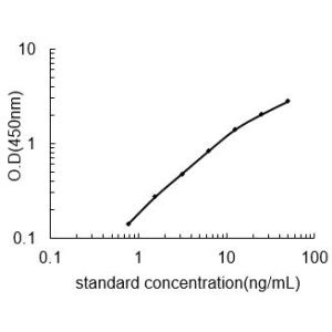 L1CAM Standard Curve