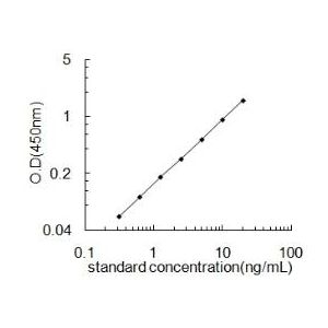 CTNNB1 ELISA