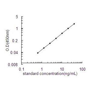 HSPA8 ELISA