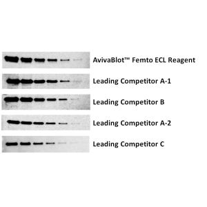 AvivaBlot™ Femto Comparison