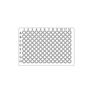 Nrf2 Colorimetric Cell-Based ELISA Kit (OKAG00918)