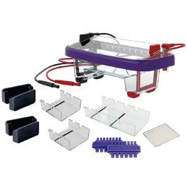 12-well Dual System Electrophoresis Apparatus