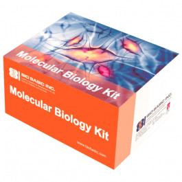 One-Tube Bacteria Genomic DNA Isolation Kit