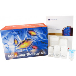 EZ-10 Spin Column Plant Genomic DNA Miniprep Kit