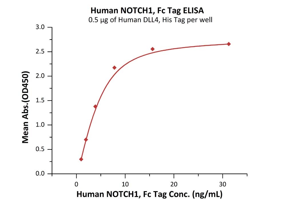 NOTCH1 Recombinant Protein