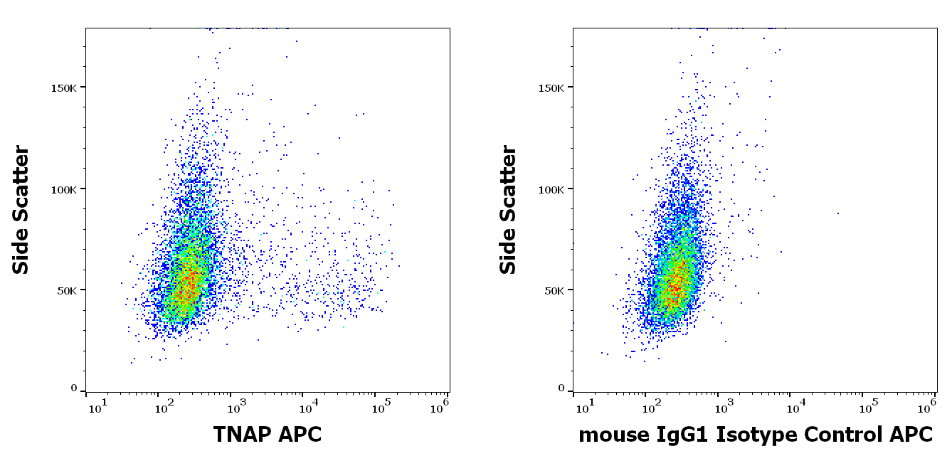 TNAP antibody (APC)