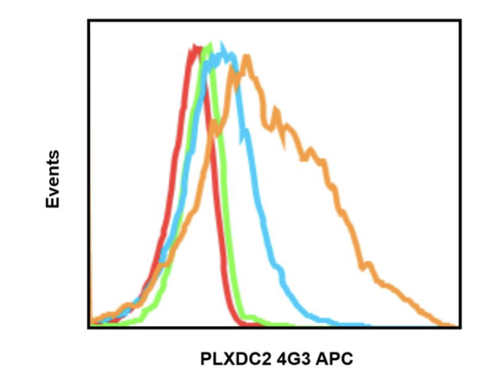 Anti-PLXDC2 (4G3) rabbit mAb APC Conjugate