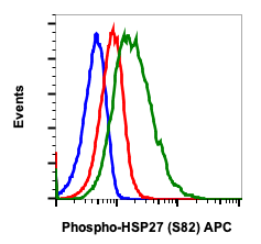 Phospho-HSP27 (Ser82) (CB2) rabbit mAb APC conjugate Antibody